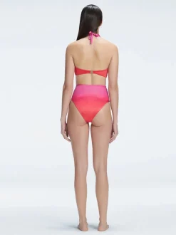 Meredith Gradient Halter Bikini Top