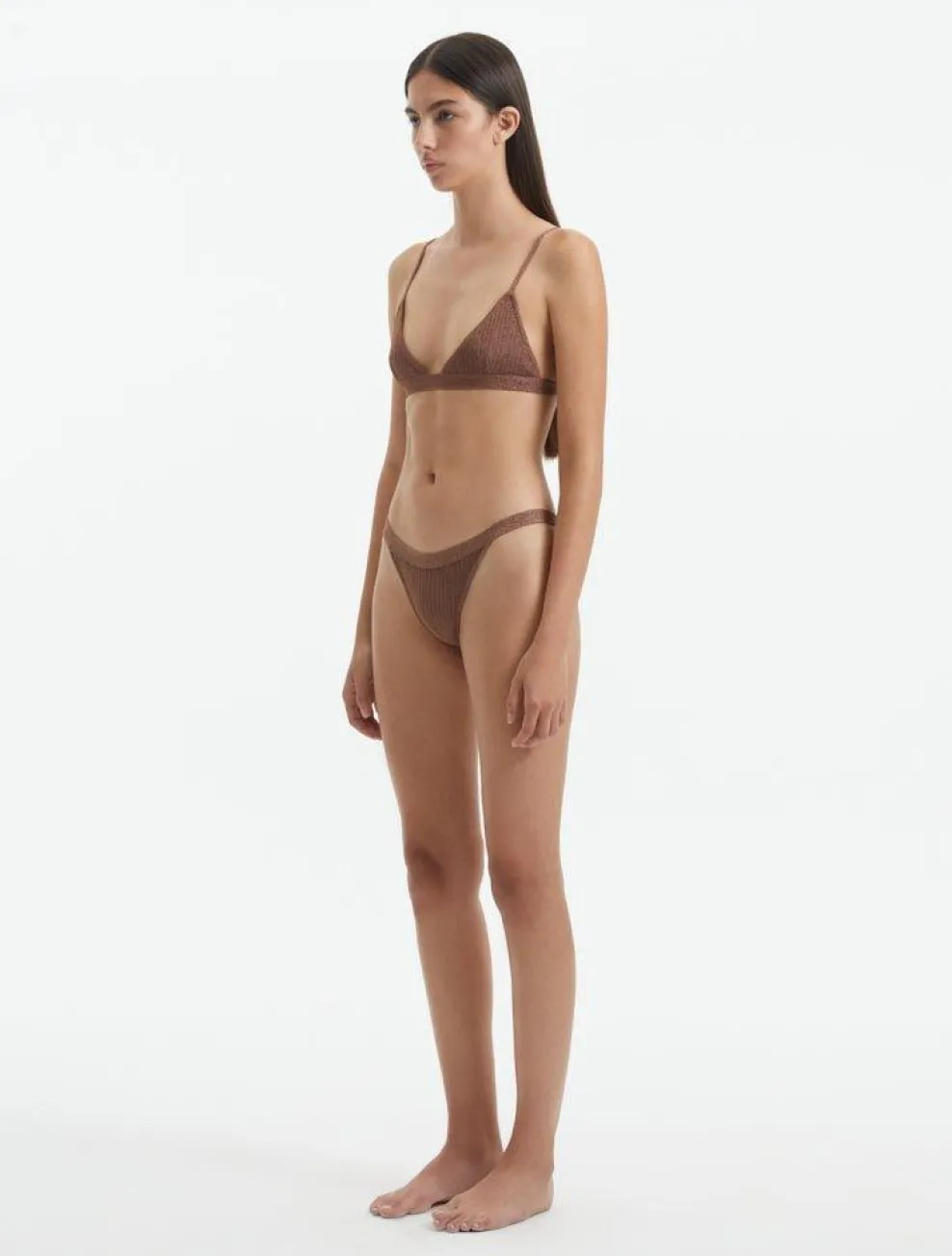 North Brown Bikini Set